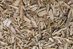 biomass boilers Exmouth
