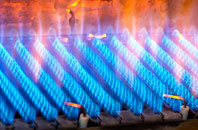 Exmouth gas fired boilers
